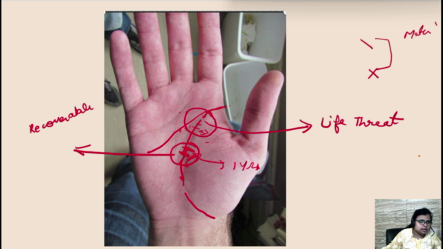 Palmistry - Beginners to Intermediate - Screenshot_02