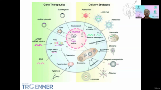 Gene Delivery Technologies - Screenshot_02