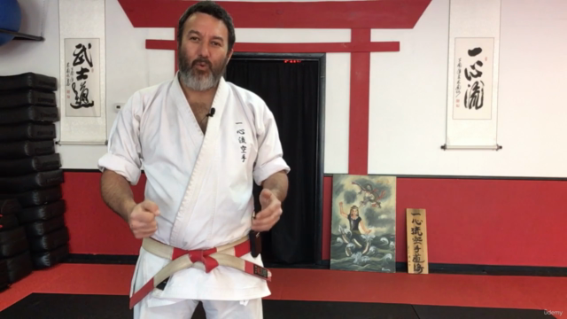 Dissect the Dissection of Isshinryu Karate: Chinto Bunkai - Screenshot_03