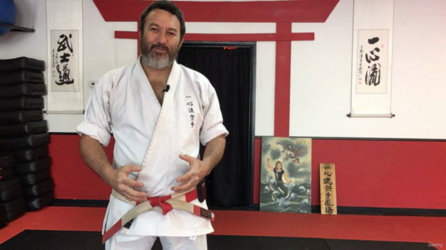 Dissect the Dissection of Isshinryu Karate: Chinto Bunkai - Screenshot_04