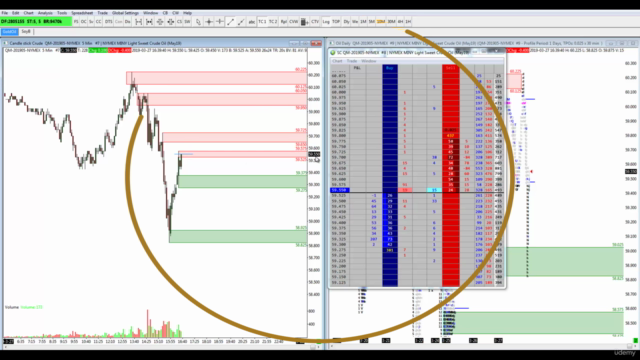 Market Profile Live, Learn To Trade Professionally - Screenshot_03