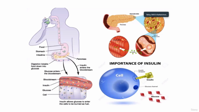 Diabetic Freedom Master Class. (TM) - Screenshot_03