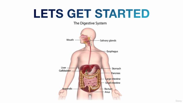 Intestinal Gut Health - Digestion System Master Class (TM) - Screenshot_01