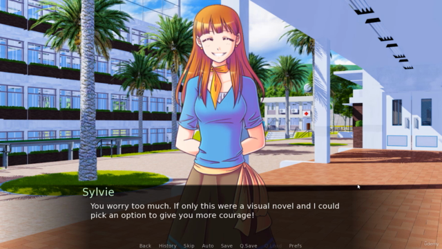 Sıfırdan Görsel Roman (Visual Novel) Yapın - Screenshot_04