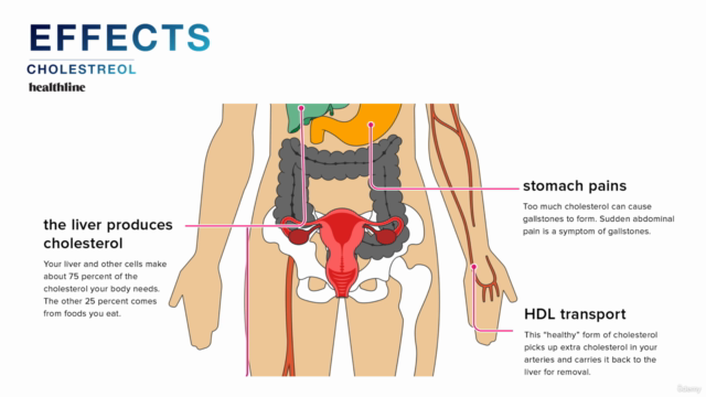 Master Class on Cholestrol and Its Effects TM - Screenshot_04