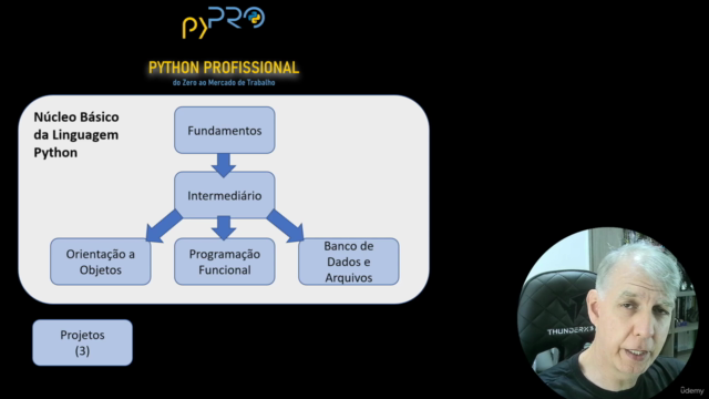 Python Profissional: do zero ao mercado de trabalho! - Screenshot_03
