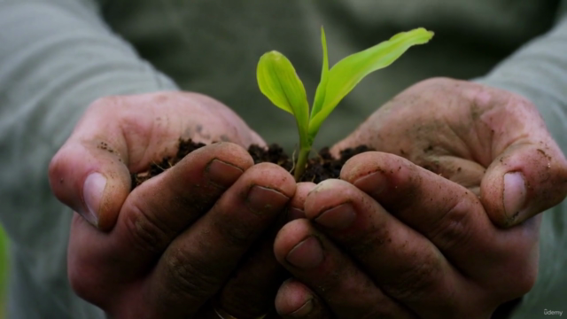 Unlock Your Jewish Purpose: Unleash Your Talents in Judaism - Screenshot_02