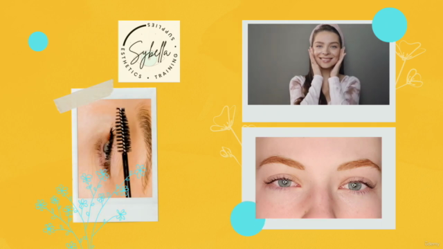 Lash Lift and Tint Certification - Screenshot_03