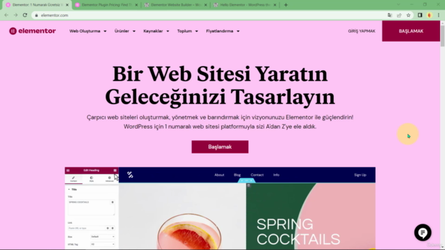 Elementor Yeni Başlayanlar için | Kendi İnternet Siteni Yap - Screenshot_01
