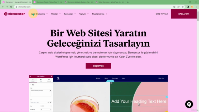 Elementor Yeni Başlayanlar için | Kendi İnternet Siteni Yap - Screenshot_02