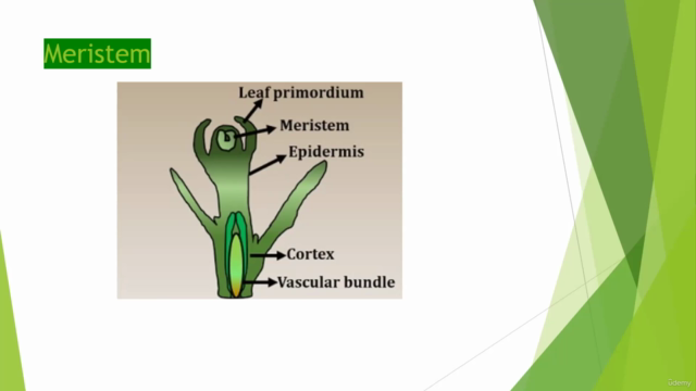 All kinds of plant tissue culture concepts - Screenshot_02