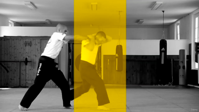 Krav Maga - Official program FEKM Yellow Belt - Screenshot_03