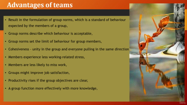 Powerful Leadership Lessons - Screenshot_02
