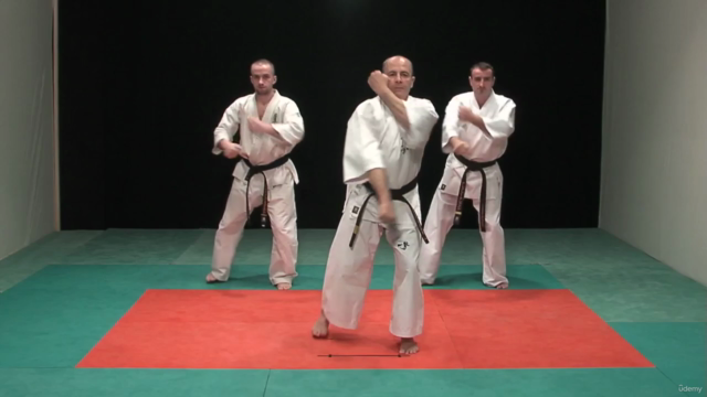 Kyokushin Karate Syllabus programme d'examen Vol.1 - Screenshot_01