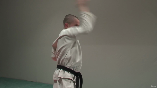 Kyokushin Karate Syllabus programme d'examen Vol.1 - Screenshot_02