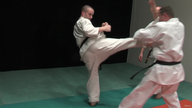 Kyokushin Karate Syllabus programme d'examen Vol.1 - Screenshot_03