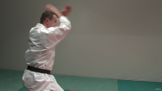 Kyokushin Karate Syllabus programme d'examen Vol.1 - Screenshot_04