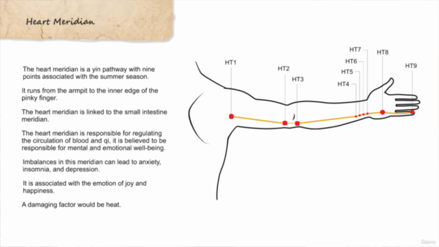 Acupressure Massage Therapy Certificate Course (2.5 CEU) - Screenshot_02