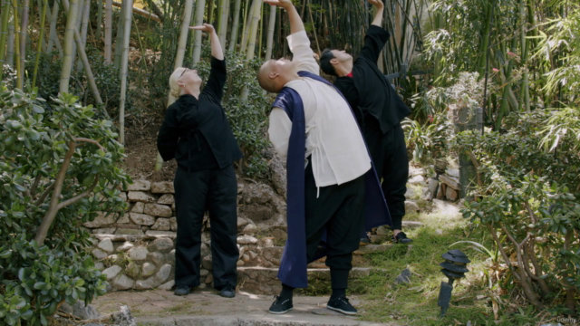 Shaolin Qigong by Master Shi Yanxu - Screenshot_02