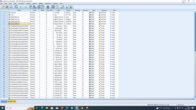 UYGULAMALI TEMEL SPSS EĞİTİMİ 2023 - Screenshot_01