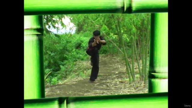 Pencak Silat Pamacan - Tiger Fighting System from Java Vol.1 - Screenshot_03