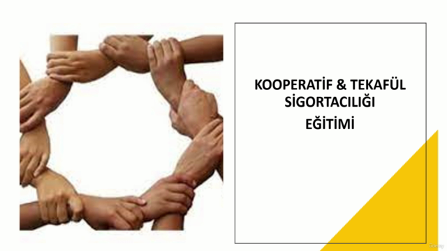 Tekafül & Kooperatif & Katılım Sigortacılığı - Screenshot_01