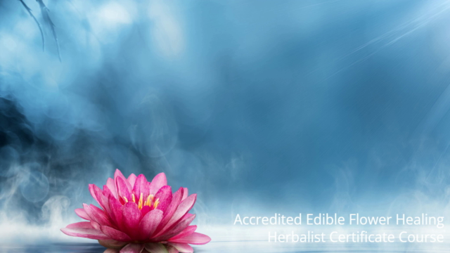 Accredited Edible Flower Healing Herbalist Certificate - Screenshot_03