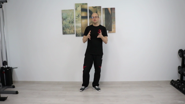 Die dritte Sektion Chi Sao im Wing Tsun - Screenshot_03