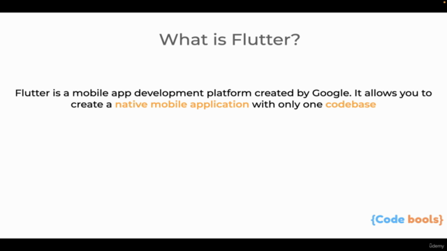 Flutter App Development for the beginners in hindi - Screenshot_01