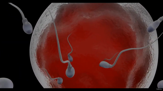 Basics Of Contraception - Screenshot_01