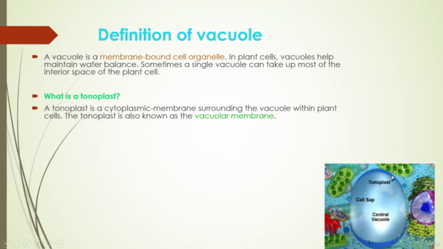 Different kinds of Prokaryotic and Eukaryotic Cells - Screenshot_01