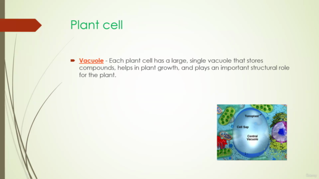 Different kinds of Prokaryotic and Eukaryotic Cells - Screenshot_02