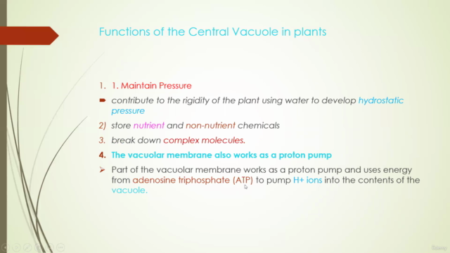 Different kinds of Prokaryotic and Eukaryotic Cells - Screenshot_03