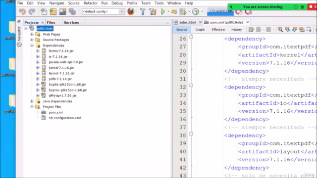 Reportes en PDF y Excel con Java full Ejercicios - Screenshot_04