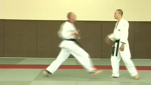 Hapkido - Vom Anfänger bis zum Fortgeschrittenen - Screenshot_04