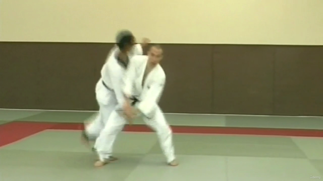 Hapkido - Du Débutant au Confirmé - Screenshot_02