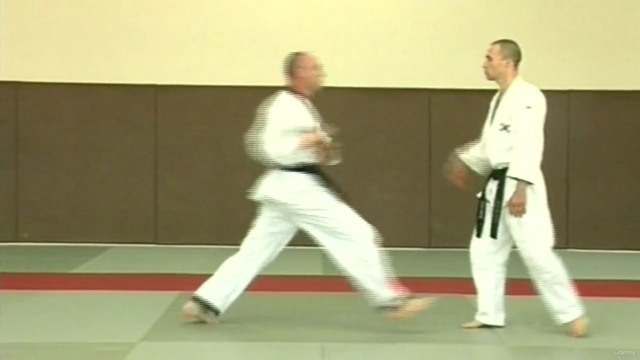 Hapkido - Desde principiante hasta avanzado - Screenshot_04