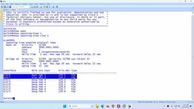 Cisco Nexus vPC (Virtual Port Channel) Training - Screenshot_01