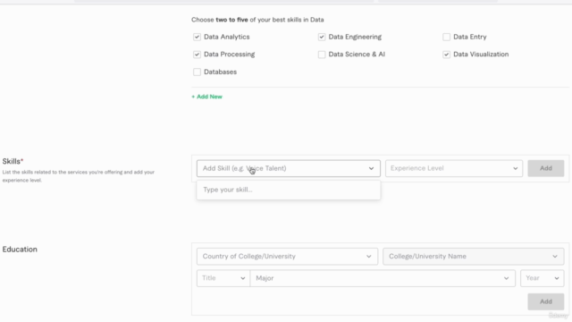 Data Analyst in Fiverr: Earn Dollars with IBM SPSS & ChatGPT - Screenshot_02