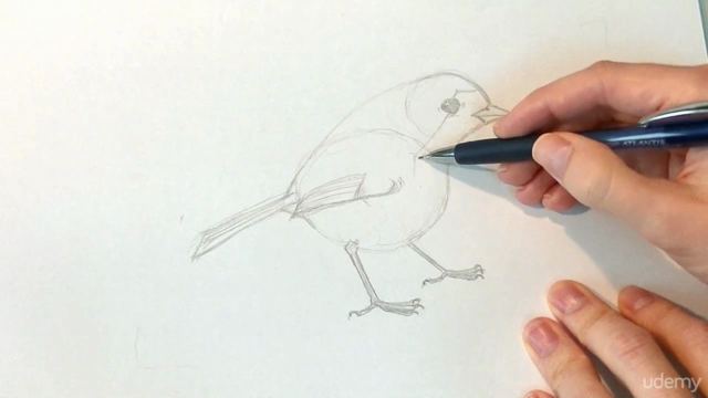 Drawing Birds: The Essential Guide - Screenshot_03