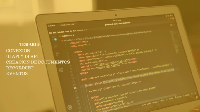 SAP BUSINESS ONE: SDK Y SERVICES LAYER DE CERO A EXPERTO - Screenshot_02