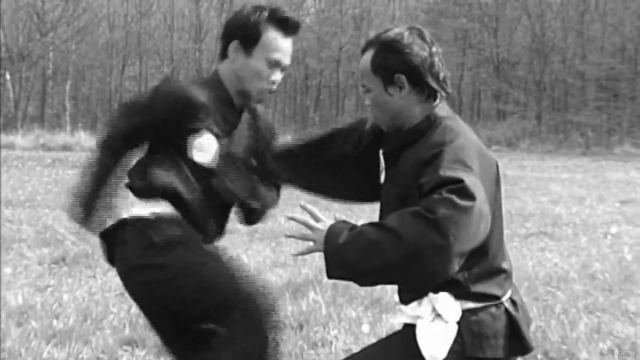 Pencak Silat - Les Combattants du Ciung Wanara - Screenshot_03