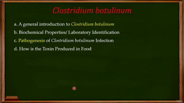 The Microbiology of Infectious Diseases - Screenshot_03