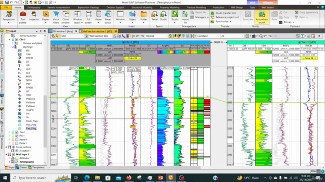 Petrel Well Log Analytics: Petrophysical Calculations Guide - Screenshot_04
