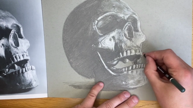 Drawing the Human Skull - Screenshot_02