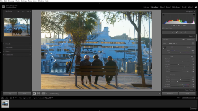 Lightroom Mastery: A Masterclass in Photo Elevation - Screenshot_02