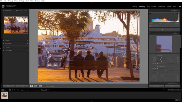 Lightroom Mastery: A Masterclass in Photo Elevation - Screenshot_03