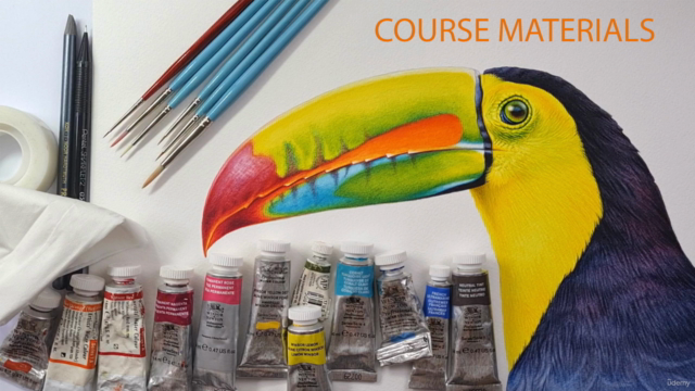 TOUCAN - Paint Realistic Watercolour and BIRDS - Screenshot_02
