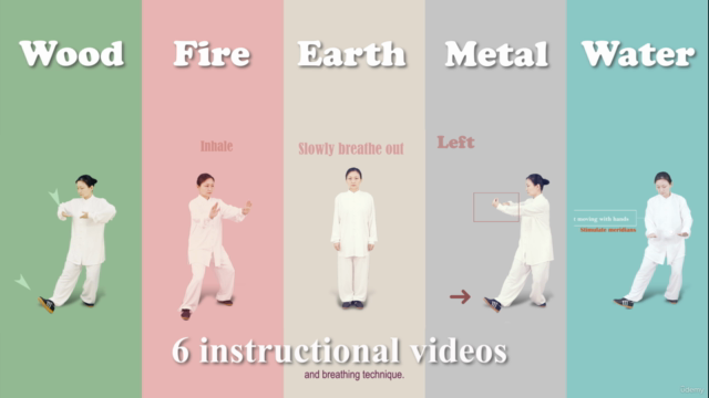 Energy Healing - Five Elements Palm Qigong - Screenshot_04