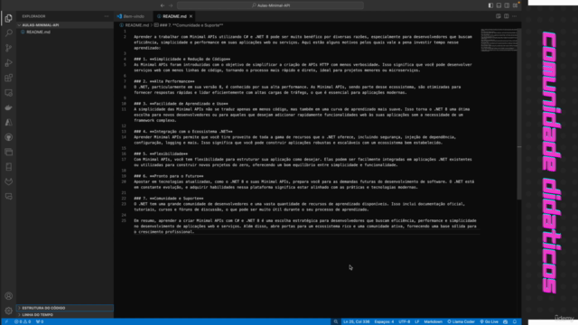 Minimal API Experts - C# dotnet 8 - Screenshot_04